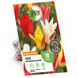 GROW by OBI Tulpen Peacock Mischung. Verpackung mit roten, gelben und weißen Tulpenblüten. Blumenzwiebeln.