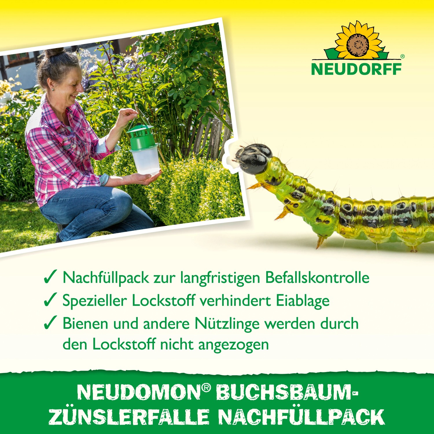 Neudorff Neudomon Buchsbaumzünslerfalle: Nachfüllpack mit Lockstoff für eine Saison.