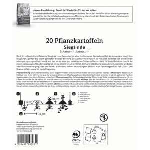 Kiepenkerl Pflanzkartoffel Sieglinde, 20 St