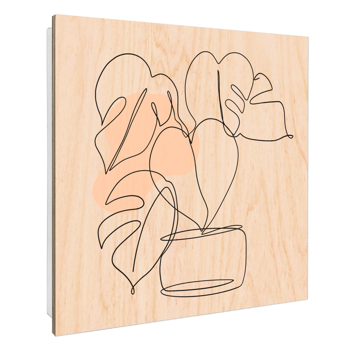 Banjado Schlüsselkasten mit Holzfront 30x30cm Weiß Scharnier Links 50 Haken günstig online kaufen