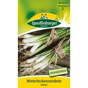 Samenpackung Winterhecken-Zwiebel 'Freddy' von Quedlinburger, mehrjährig.