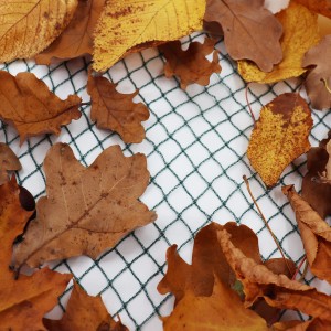 Aquagart Teichnetz Laubnetz mit Herbstlaub, dunkelgrün, Maschenweite 15mm.