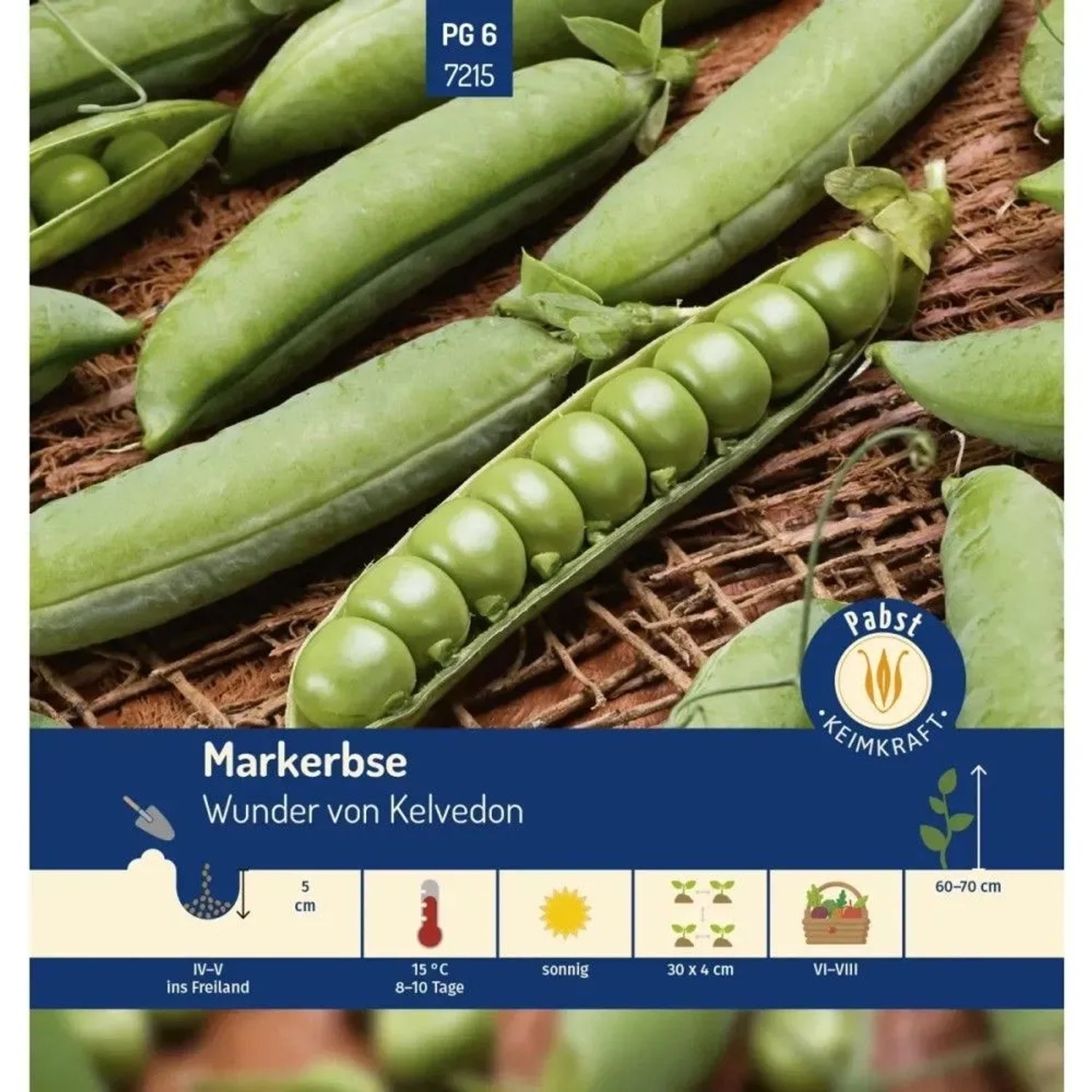 Pabst Keimkraft Markerbse Mittelfrüh & Sehr Ertragreich Wunder Von Kelvedon Saatgut