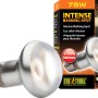 Exo Terra Intense Basking Spot 75W Wärmelampe für Terrarien, zur Erzeugung von Wärmeplätzen.