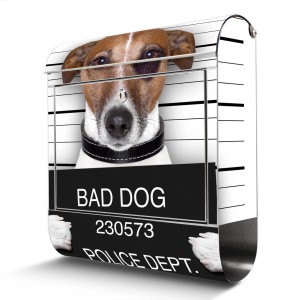 Edelstahl Briefkasten mit Jack Russel Motiv "Bad Dog" und Zeitungsfach.