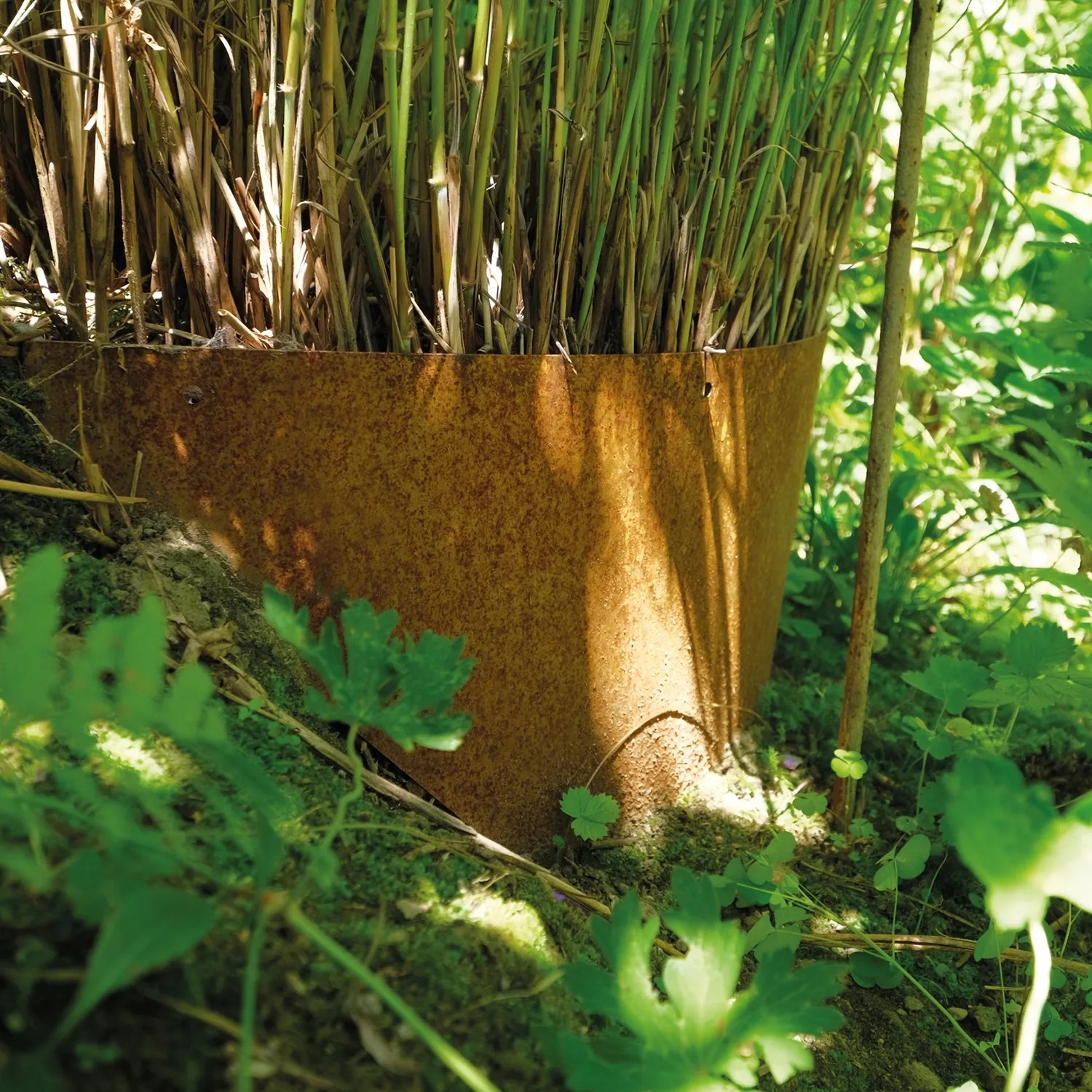 Bellissa Hangpflanzschale Collina Corten zur Hangbefestigung und Bepflanzung im Garten.