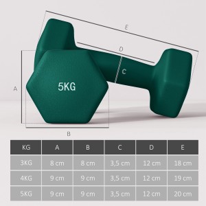 SPORTNOW Hantel 5 kg, grün, mit Maßangaben. Ideal für Fitness und Krafttraining.
