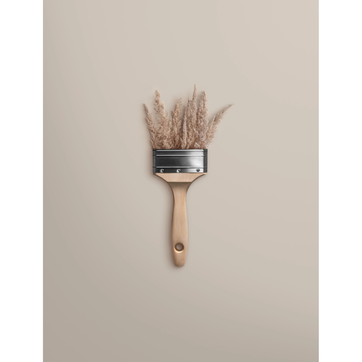 Pinsel mit Schilfhalmen, Schöner Wohnen Trendfarbe Cosy matt. Bunte Wandfarbe.