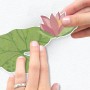 Anbringen des Komar Wandstickers Flamazing, 70x50 cm, Wanddeko mit Lotusblüte und Blatt.