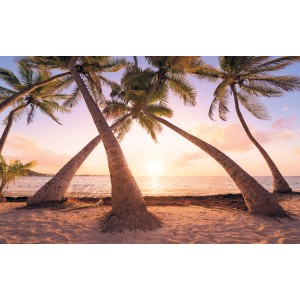 Komar Fototapete Vlies: Palmen am Strand im Sonnenuntergang, Urlaubsfeeling für Ihr Zuhause.