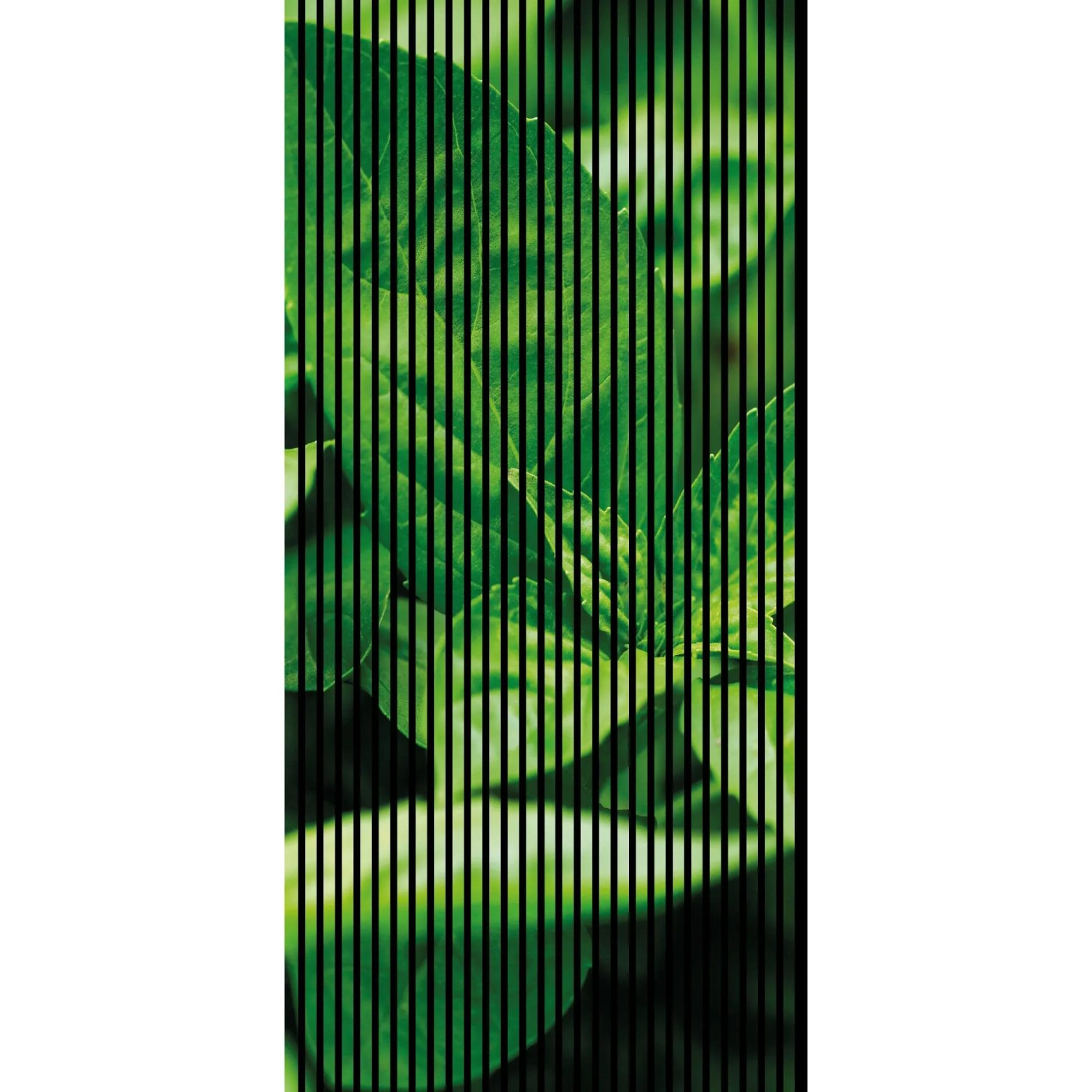 FN Acustico Akustikplatte Basilikum 1 PET u. MDF Foliert 1.133 x 19 x 2.400 mm