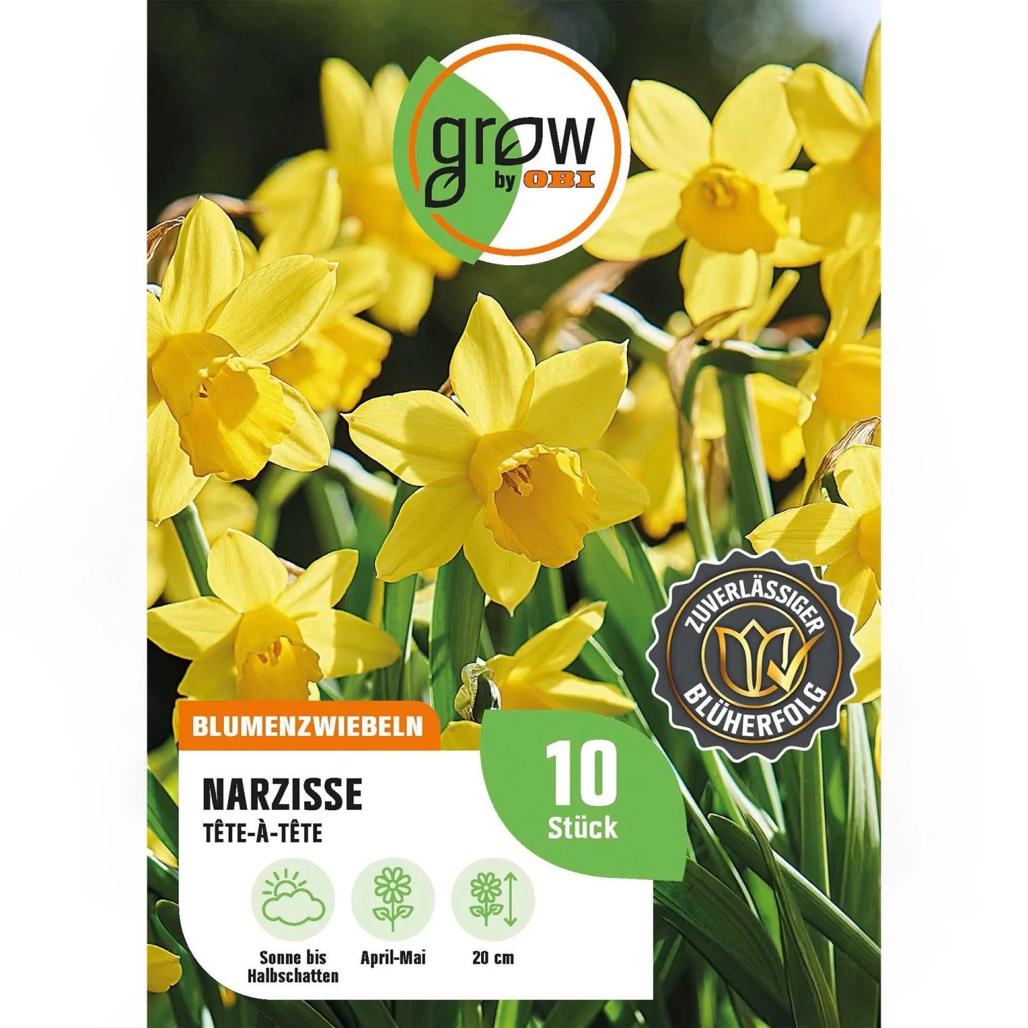 GROW by OBI Narzisse Tete-à-Tete Gelb 10 Stück Narcissus TEte-à-TEte