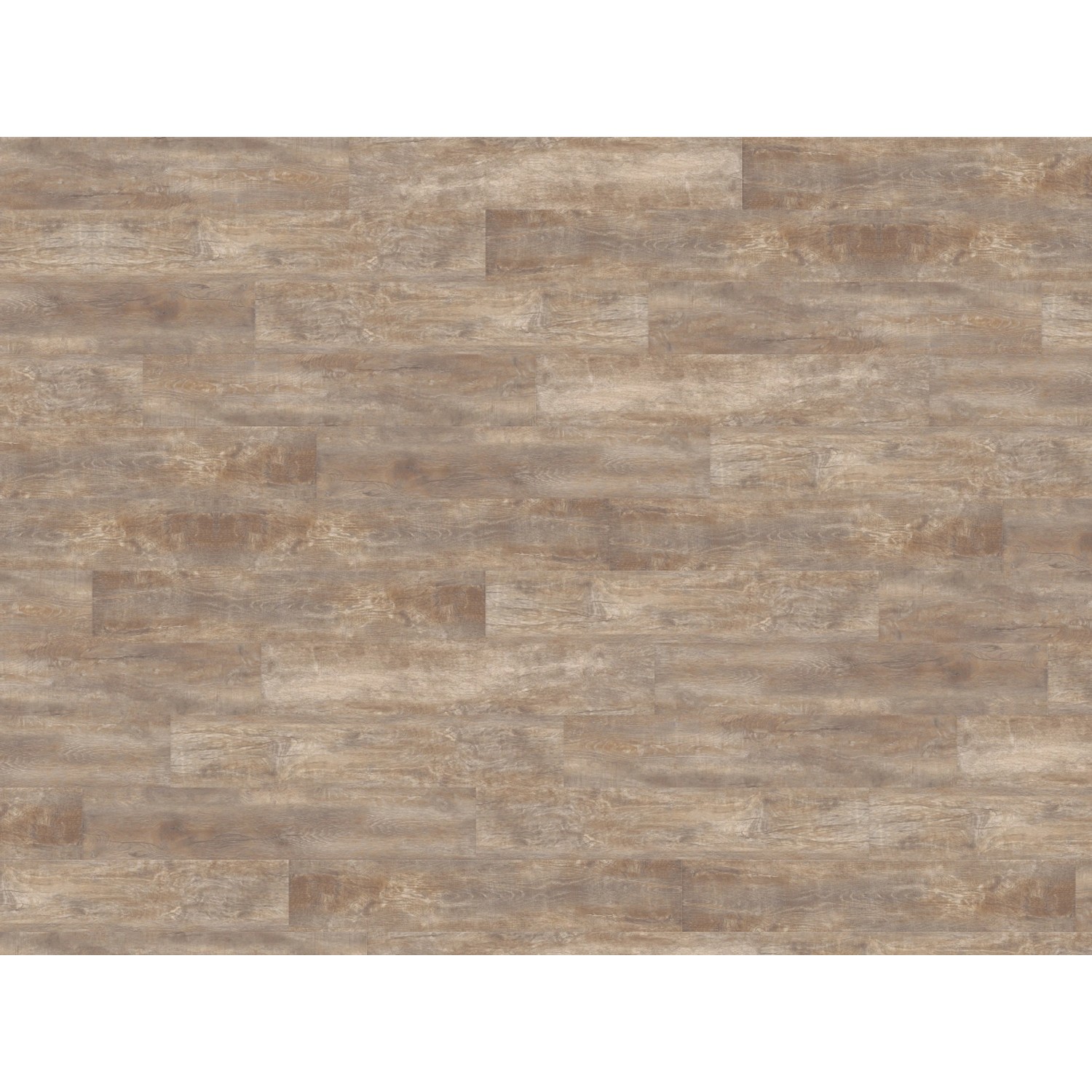 Living by Haro Designboden HydroStar Eiche Monza geräuchert, Landhausdielen-Optik.