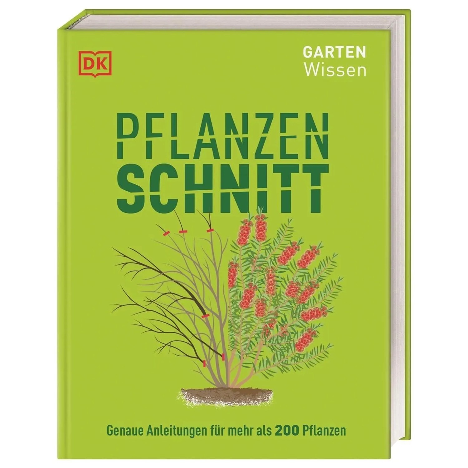 Gartenwissen Pflanzenschnitt günstig online kaufen