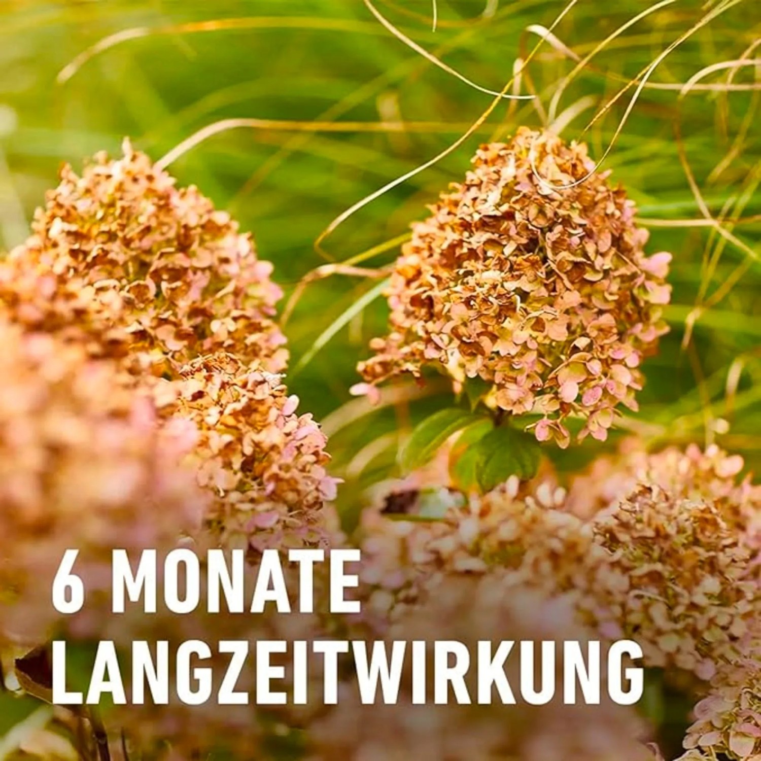 compo herbst rasen langzeitdnger 20 kg Herbst Rasendnger mit Langzeitwirkung und Kalium   Terrauno