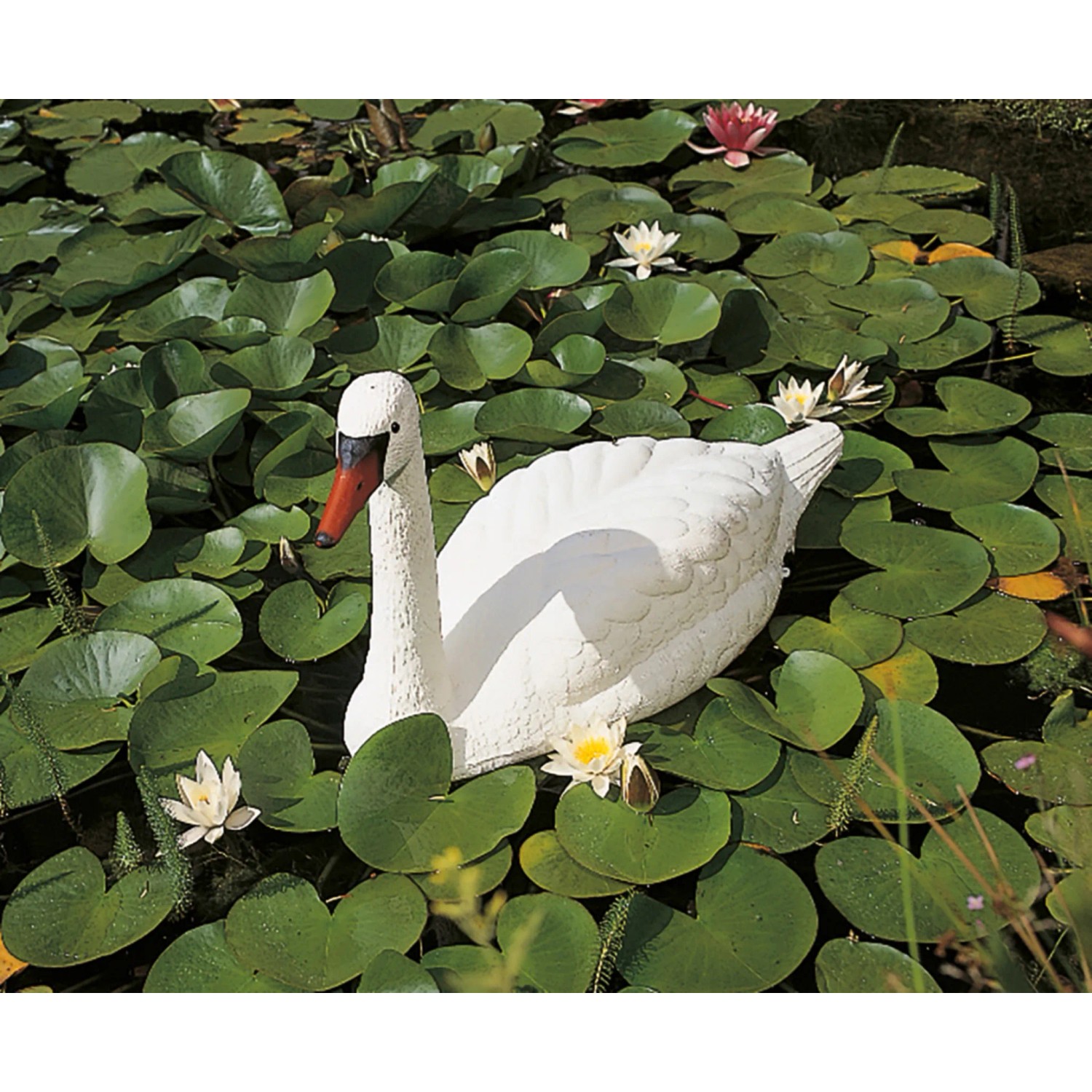 Weiße Ubbink Teichfigur Schwan (H 54,5 cm) im Teich mit Seerosen.