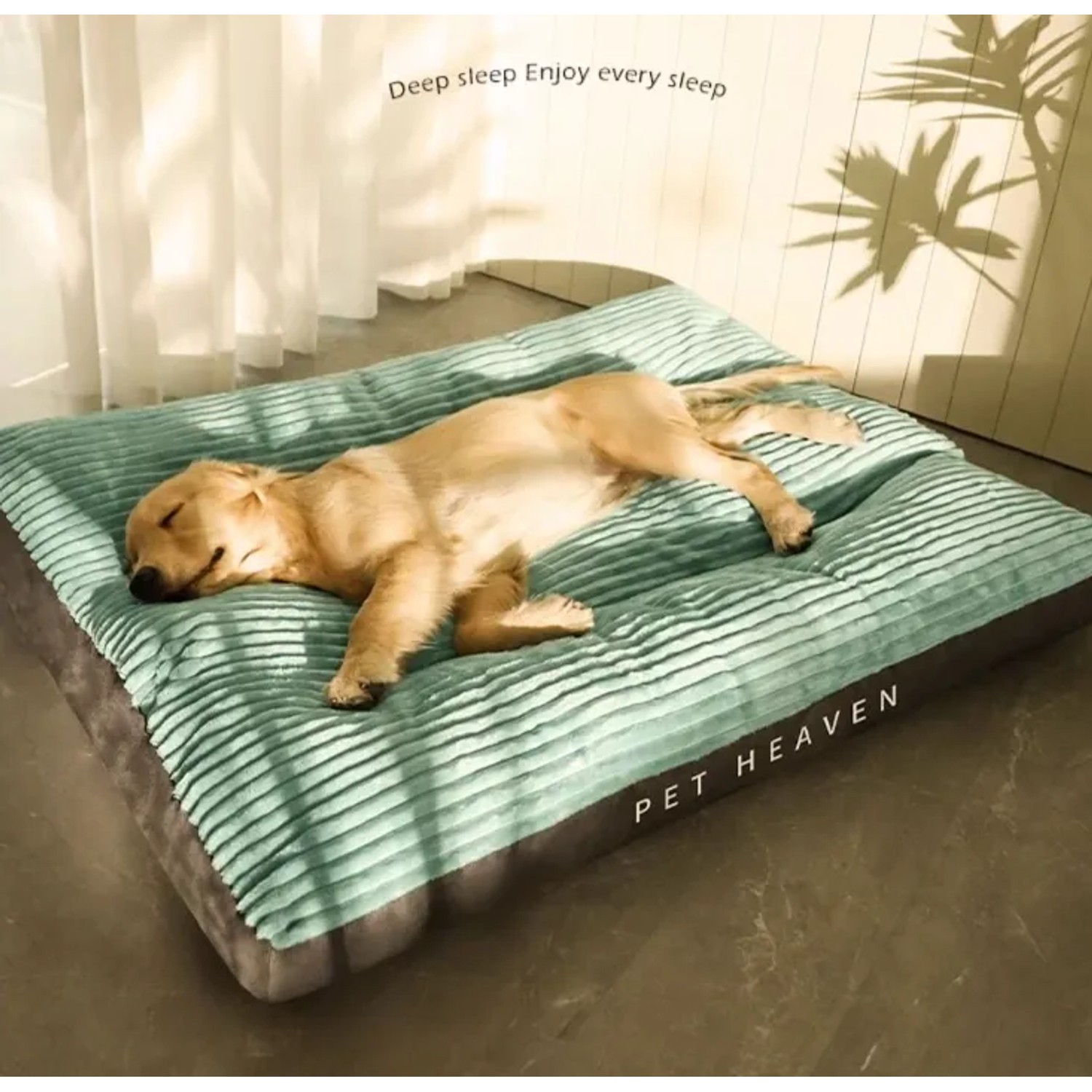 Schlafender Hund auf grünem Petsation Hundebett, 60 cm, für Hunde und Katzen.