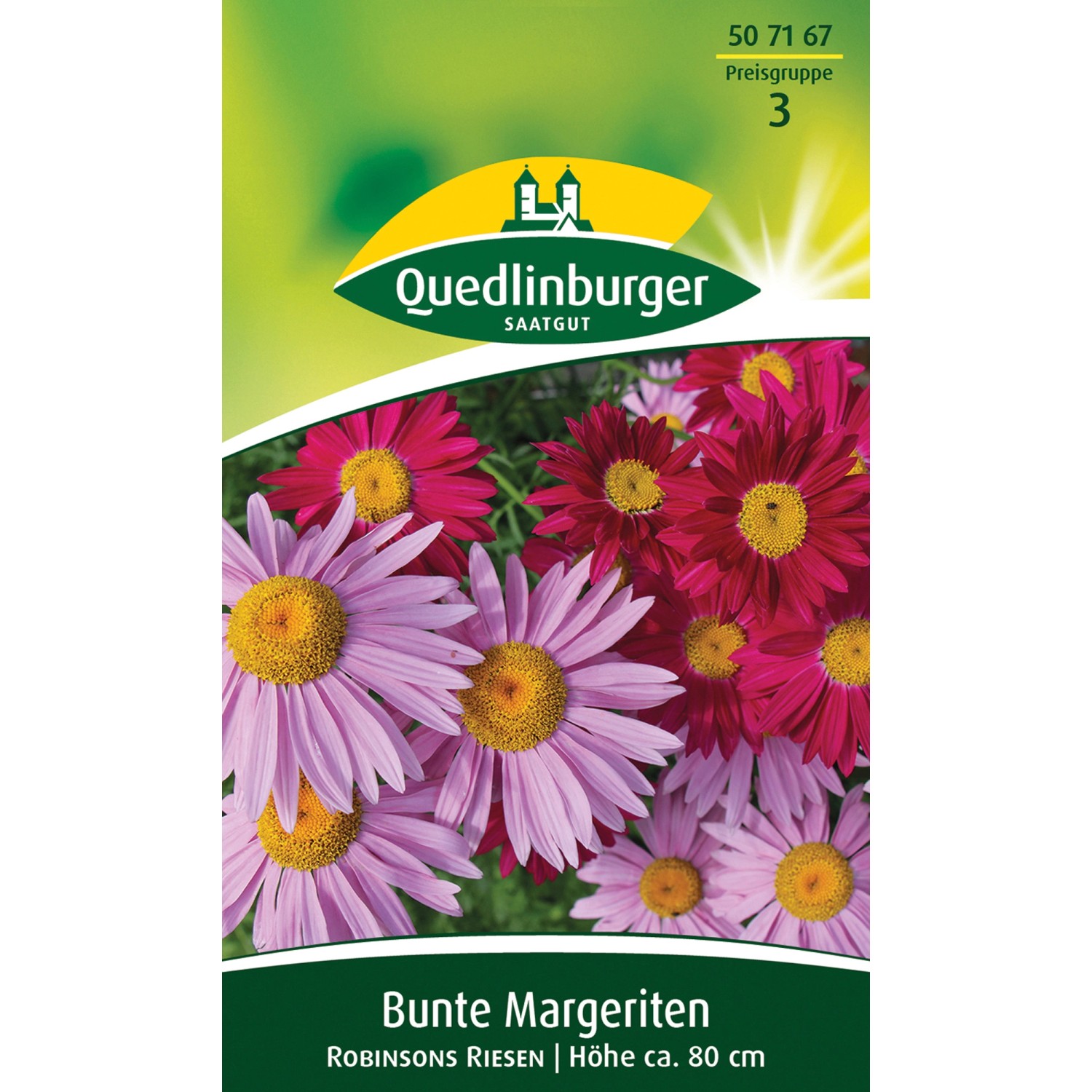 Quedlinburger Bunte Margerite ''Robinsons Riesen'' kaufen bei OBI