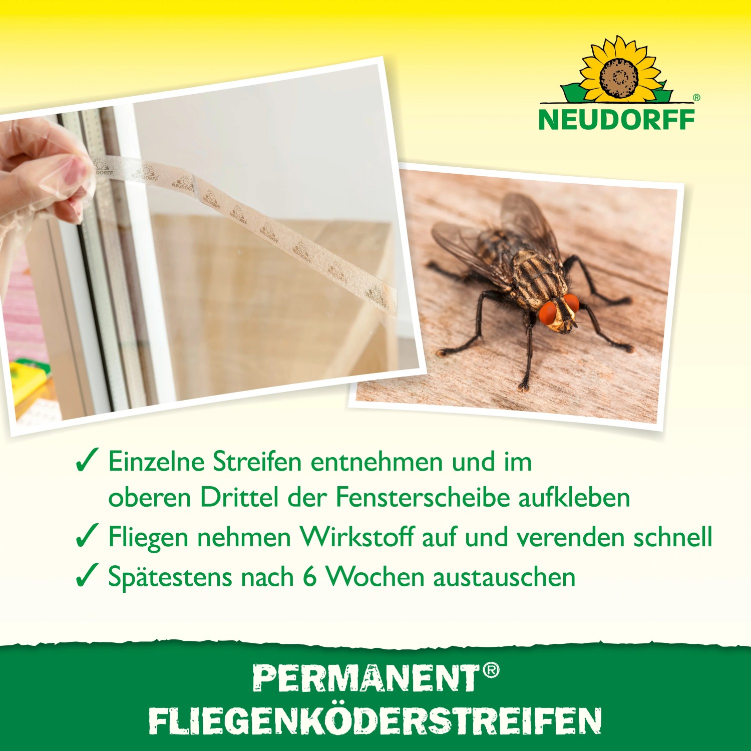 Neudorff Permanent Fliegenköder-Streifen, 6 Stück: Fliegenfalle zur Bekämpfung von Fliegen im Innenbereich.