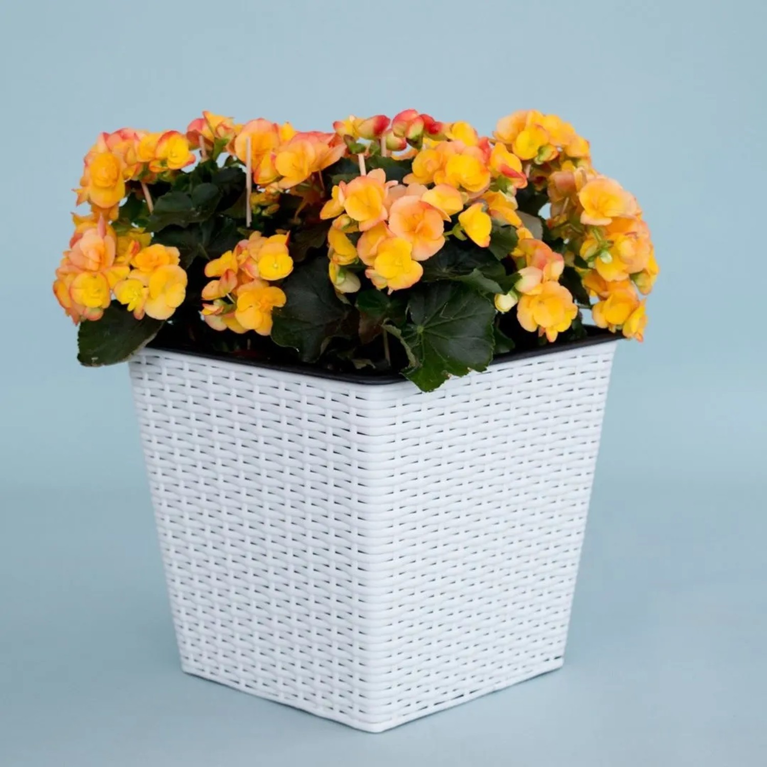Elegant Einrichten Pflanzkübel Quadratisch-Konisch Polyrattan 42x42x38cm Weiß