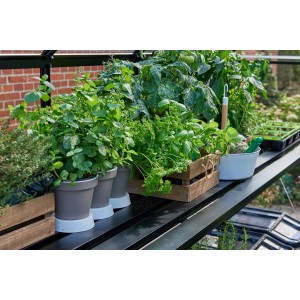 Schwarzer Halls Lamellentisch Qube 66 im Gewächshaus mit Pflanzen und Kräutern.