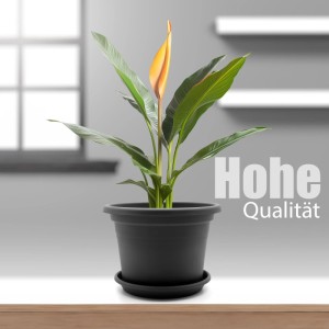 BigDean 4 Stück Blumentopf Mit Untersetzer Rund 35 cm Anthrazit Wetterfester Pflanzkübel Made In Europe
