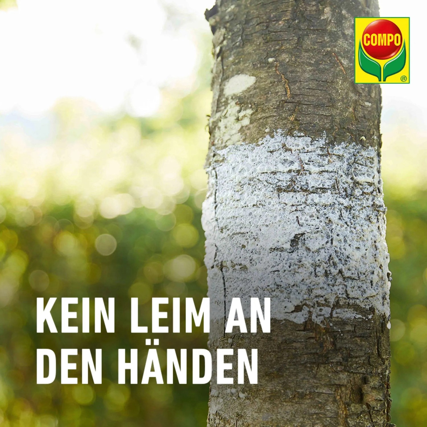 Baumstamm mit COMPO Bio Raupen & Ameisen Leimspray behandelt. Schutz vor Schädlingen.