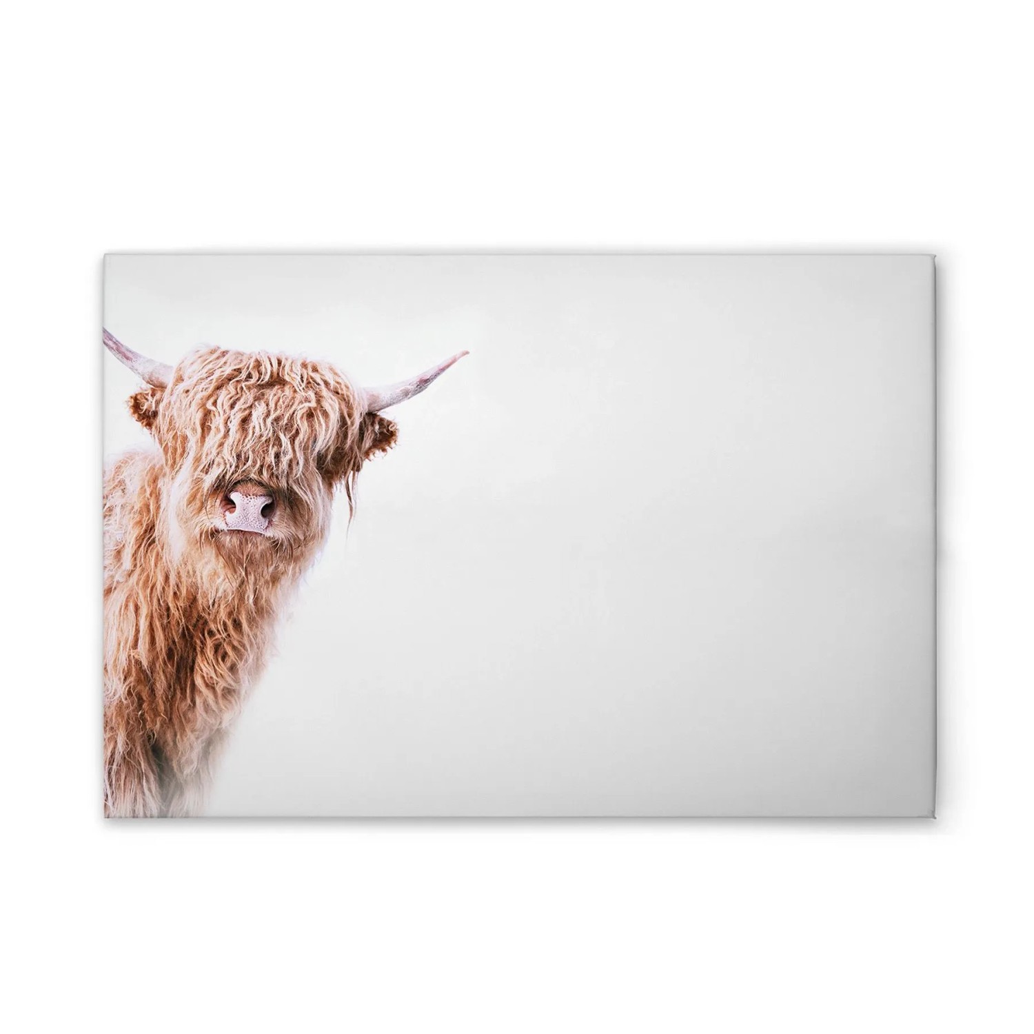 Tadessi Leinwandbild - M1-No.51144 - Tiere Kuh - 90 x 60 cm - Hochformat
