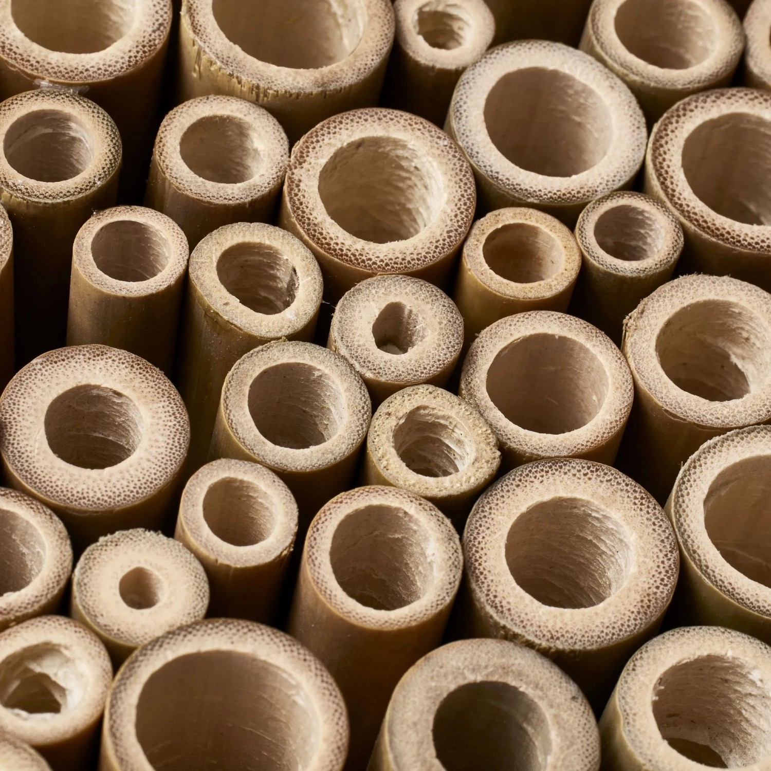 Detailaufnahme von Röhren für Elho Bienenhotel Organic, Insektenhotel.