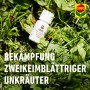 Compo Banvel Quattro Rasenunkraut-Vernichter 150ml im Rasen.
