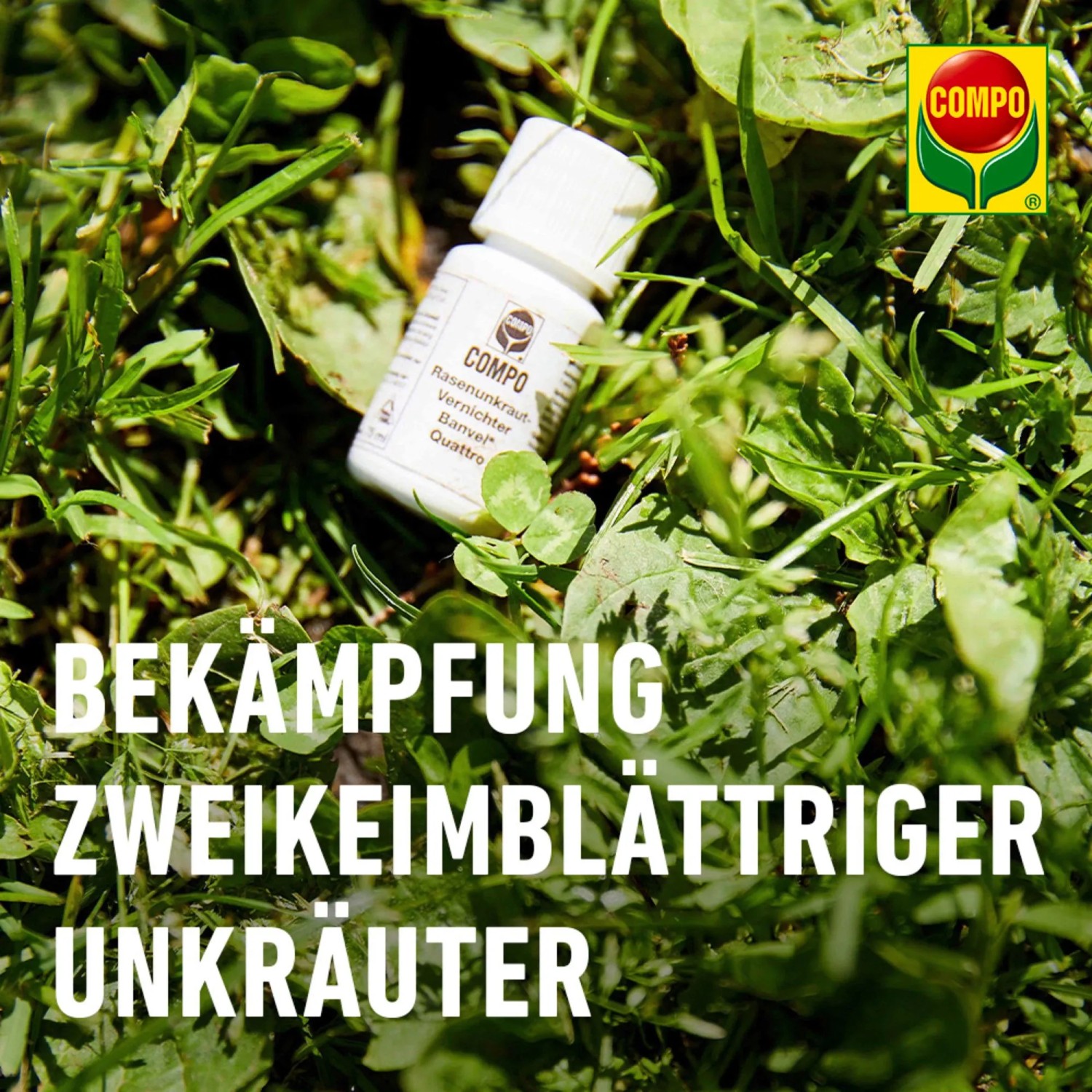 Compo Banvel Quattro Rasenunkraut-Vernichter 150ml im Rasen.