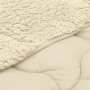 vidaXL Winterbettdecke Creme 155 x 200 cm Mikrofaser und Teddy-Fleece 42026363_5
