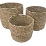 3-teiliges Korb-Set Sian aus Seegras, naturfarben, für Aufbewahrung und Deko.