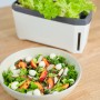 Gusta Garden Anzuchtsgefäß Harry Herbs, 5L, weiß, mit Salat und Schale mit Salat im Vordergrund.