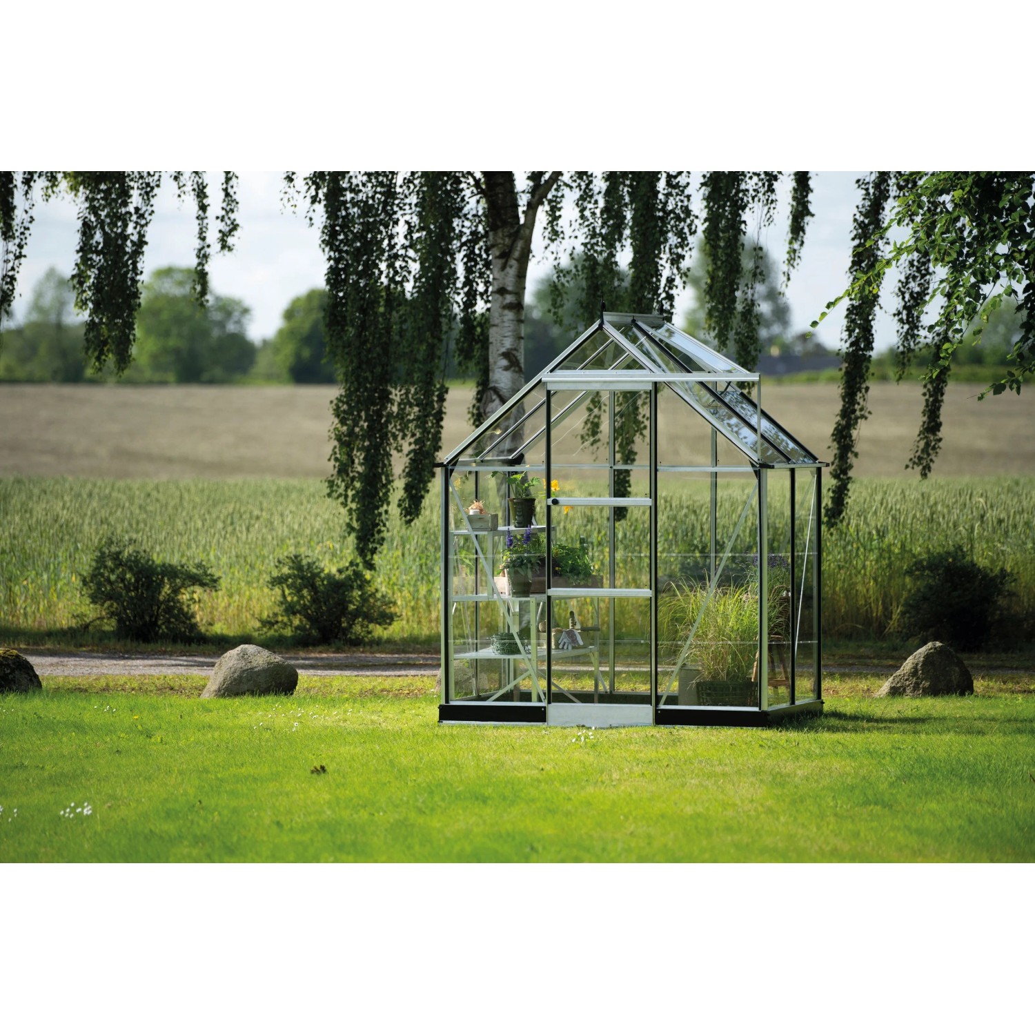 Helles Halls Gewächshaus "Icon 6 Alu" mit Glasfront und Regalen im Garten.