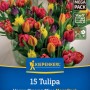 Kiepenkerl Blumenzwiebel Mega Pack Happy Blooms 15 Stück