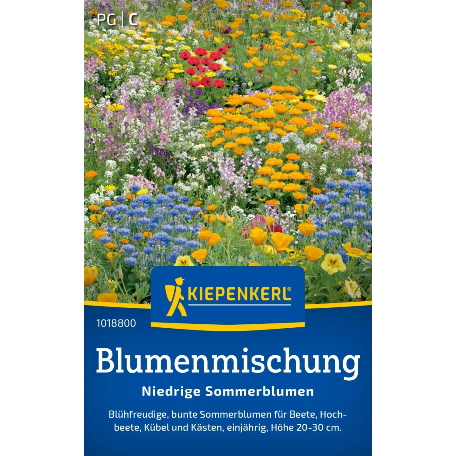 Kiepenkerl Sommerblumenmischung "Niedrige" Mehrfarbig