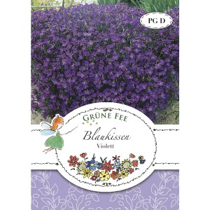 Grüne Fee Blaukissen Violett Samen für ca. 100 Pflanzen. Blumensamen für Steingärten.
