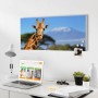 Banjado Magnettafel mit Giraffen-Motiv vor Kilimandscharo, 78x37cm. Wanddekoration für Büro oder Zuhause.