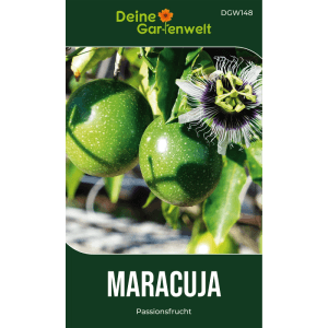 Grüne Passionsfrüchte und eine violett-weiße Maracuja-Blüte an einer Pflanze. Samen für Garten & Haus.