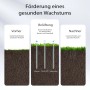 Infografik: Rasenbelüftung mit Aerifizierer lockert verdichteten Boden, fördert Wurzelwachstum, Wasser- & Nährstoffaufnahme für gesunden Rasen.