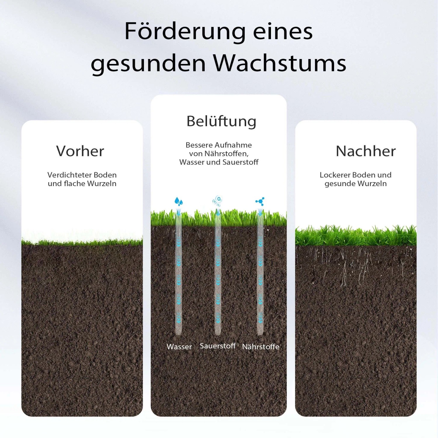 Infografik: Rasenbelüftung mit Aerifizierer lockert verdichteten Boden, fördert Wurzelwachstum, Wasser- & Nährstoffaufnahme für gesunden Rasen.