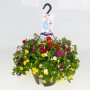 Zauberglöckchen Ampel mit bunten Blüten im Aqua Easy Topf für Balkon und Terrasse.