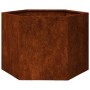 vidaXL Pflanzkübel Rostig 60x60x45 cm Cortenstahl 823675_7