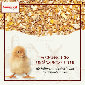 Supravit Kükengrütze Aufzuchtfutter für Hühner und Wachteln
