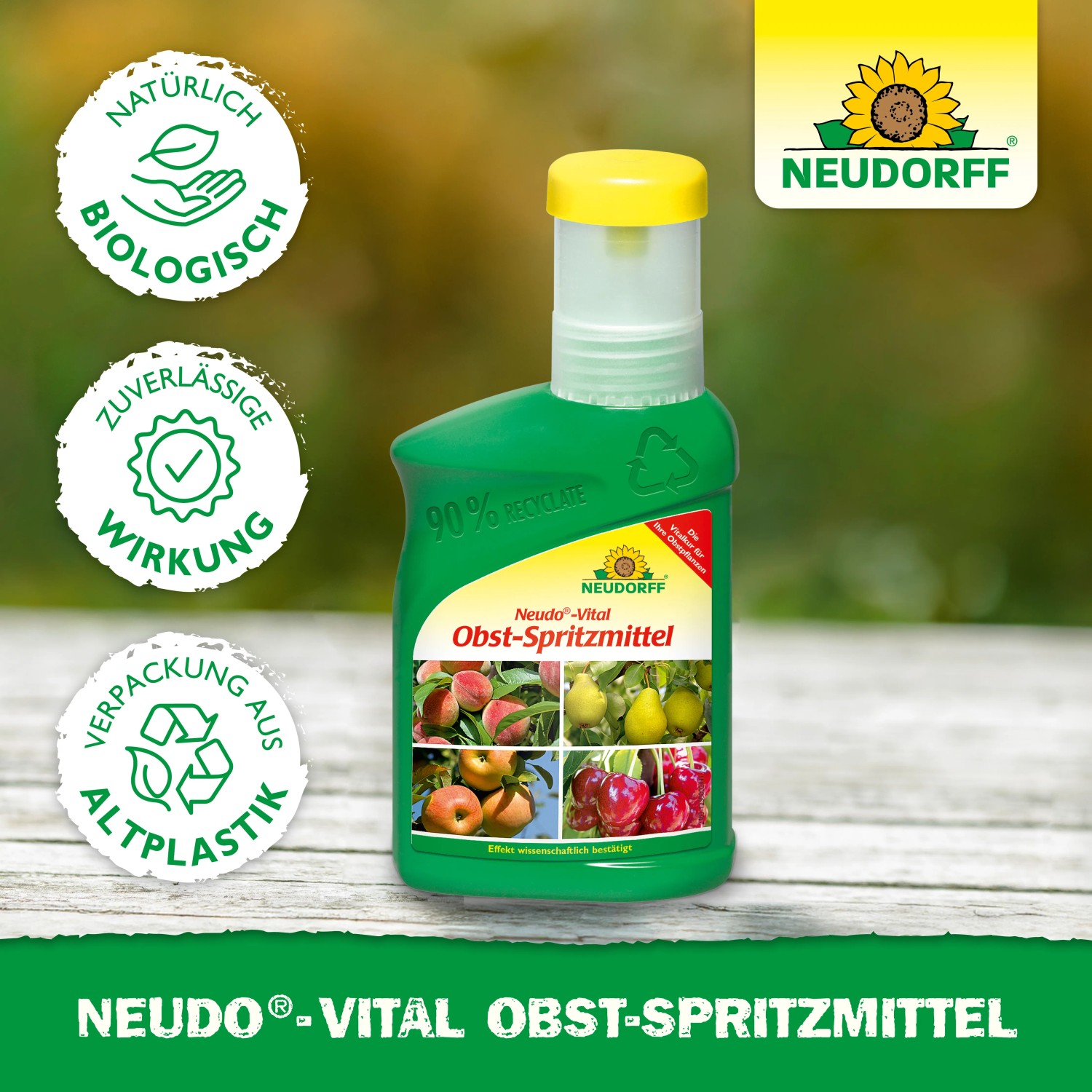 heidelbeerpflanzen düngen Purgrün Bio-Heidelbeerdünger 1 Liter