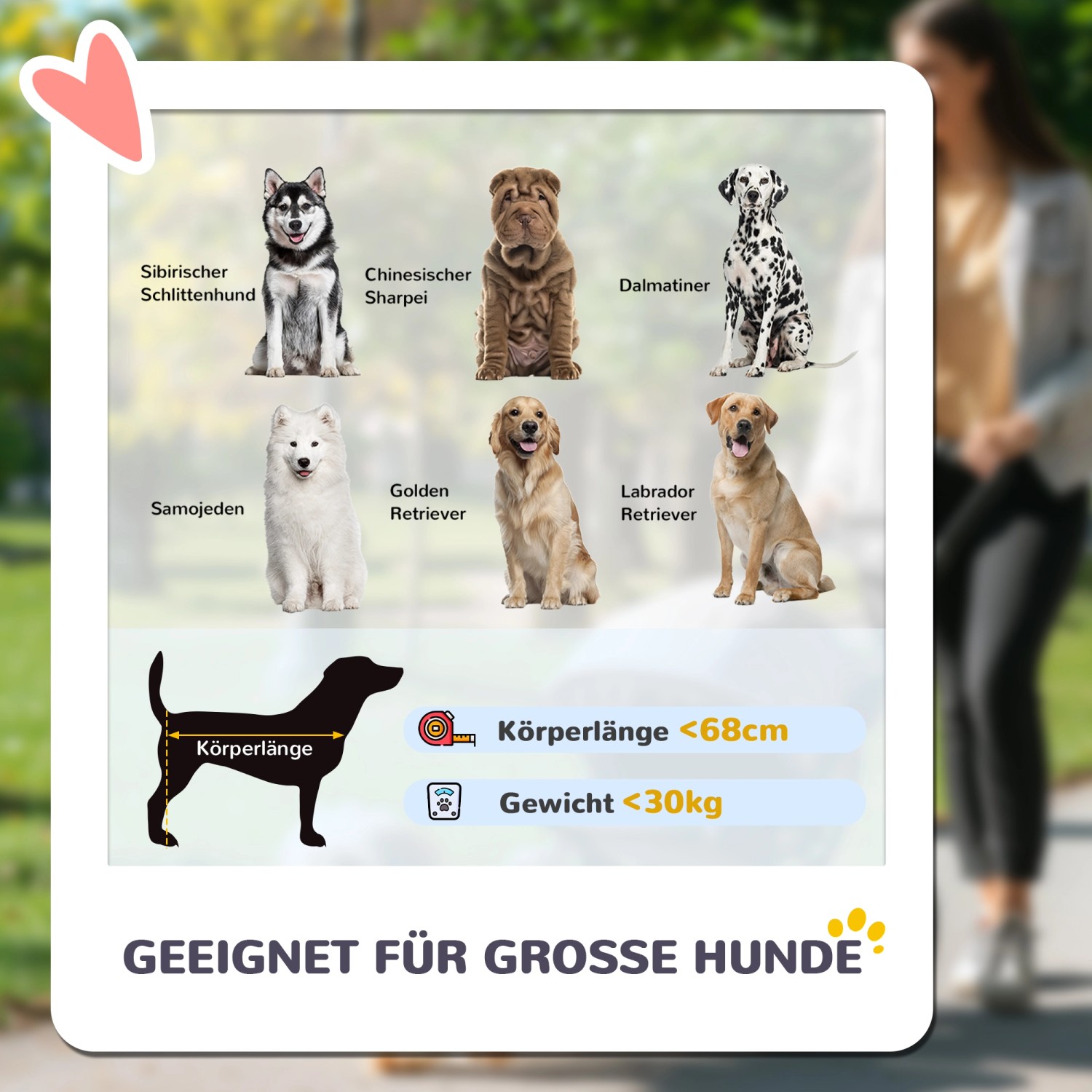 Grafik: Geeignet für große Hunde bis 68cm Körperlänge und 30kg Gewicht. Verschiedene Hunderassen dargestellt.