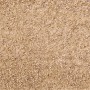 Nahaufnahme: Gold-Ocker Wassergebundene Wegedecke (0-5 mm) als Schüttgut.