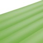 Grüne Bestway Luftmatratze (170x54x15 cm) mit matter Oberfläche und Kopfstütze.