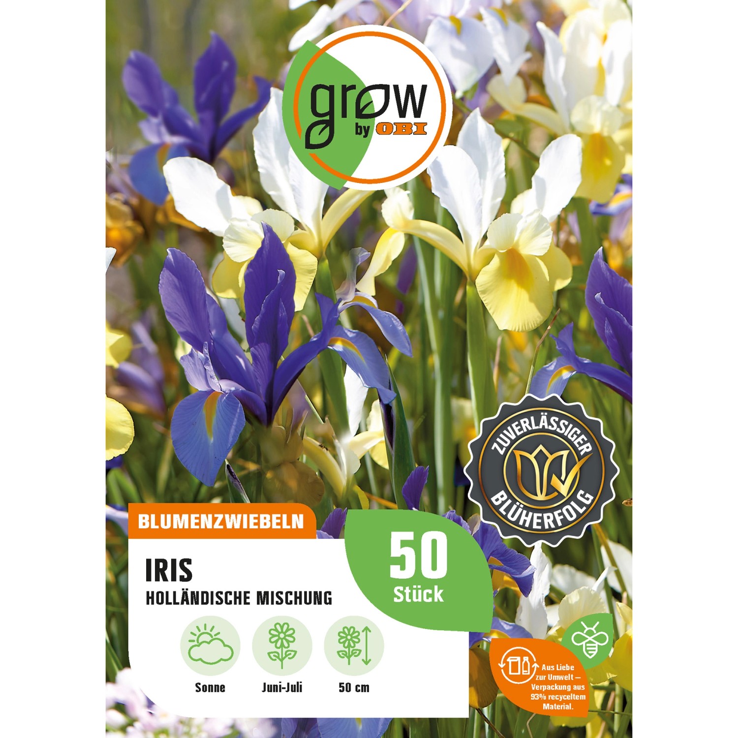 GROW by OBI Iris Mehrfarbig Höhe ca. 50 cm Iris hollandica günstig online kaufen